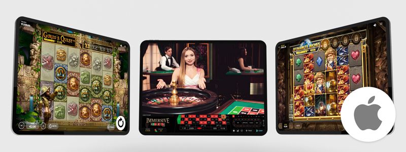 Kompatibilit&auml;t mit dem iPad