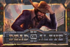 Dead or Alive 2 Slot Logo