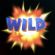 Wild-Symbol