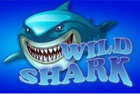 Wild Shark review