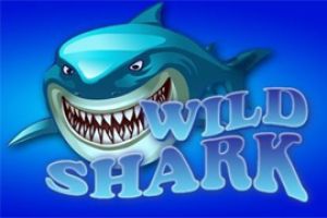 Wild Shark von Amatic