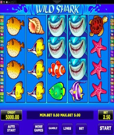 Jetzt kostenlos in Wild Shark Demo kostenlos online spielen und Slot-Test spielen