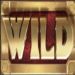 Wild Symbole